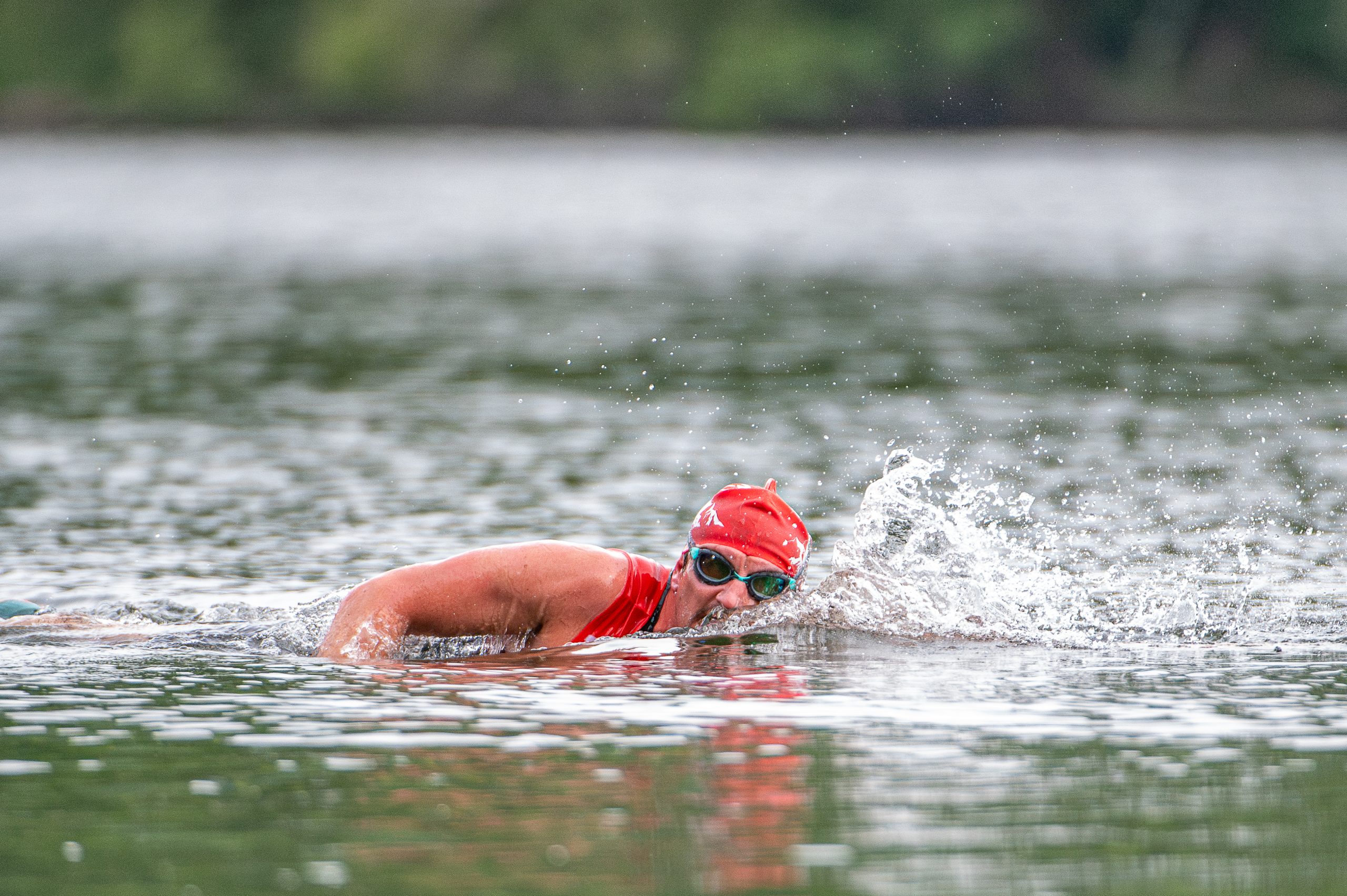 Photographe natation eau libre triathlon Pyrénées 64 - Yannis Photos